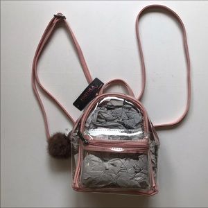 See Through Backpack